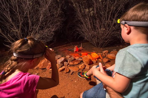 Alice Springs Desert Park Nocturnal Tour - Northern Rivers Accommodation 4