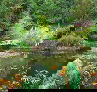 Hobart Half-Day Sightseeing Coach Tram Tour - Northern Rivers Accommodation