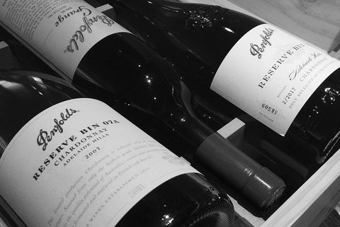 The Ultimate Penfolds Magill Estate Wine & Underground Cellar Tour - Northern Rivers Accommodation 4