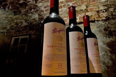The Ultimate Penfolds Magill Estate Wine & Underground Cellar Tour - Northern Rivers Accommodation 5