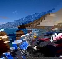 Seal Island Boat Tour from Victor Harbor - Northern Rivers Accommodation