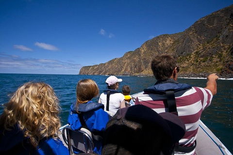 Seal Island Boat Tour From Victor Harbor - Northern Rivers Accommodation 0