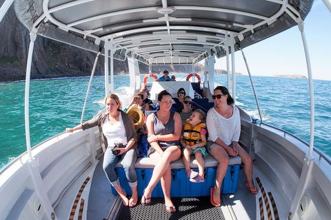 Seal Island Boat Tour From Victor Harbor - Northern Rivers Accommodation 1