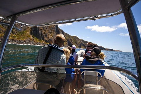 Seal Island Boat Tour From Victor Harbor - Northern Rivers Accommodation 2