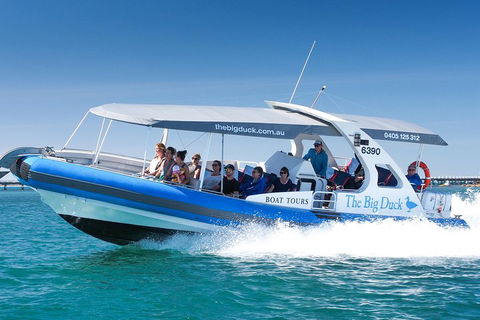 Seal Island Boat Tour From Victor Harbor - Northern Rivers Accommodation 3