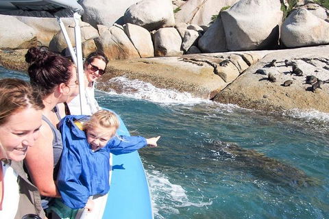 Seal Island Boat Tour From Victor Harbor - Northern Rivers Accommodation 4