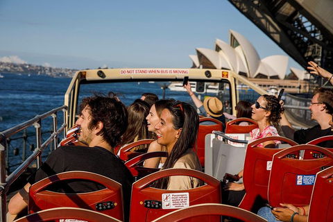 Hop-On Hop-Off Bus And PLUS 4 Merlin Attractions - Northern Rivers Accommodation 1