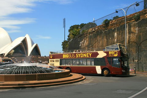 Big Bus Sydney And Bondi Hop-on Hop-off Tour - Northern Rivers Accommodation 3