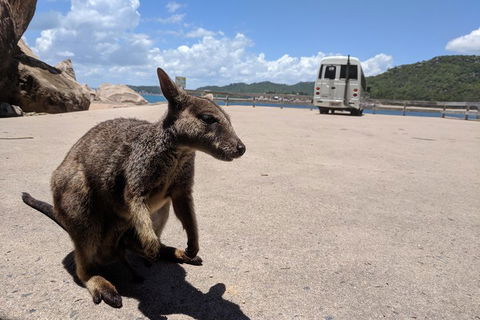 Magnetic Island Tour: Maggie Comprehensive - Northern Rivers Accommodation 0