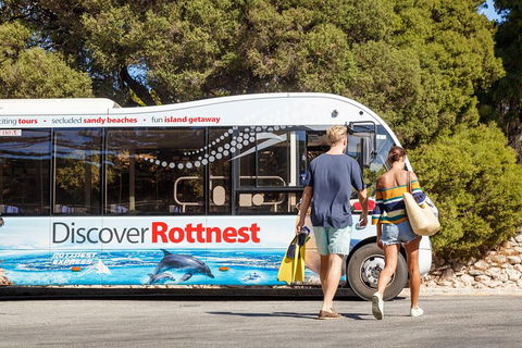 Discover Rottnest With Ferry & Bus Tour From Perth Or Fremantle - Northern Rivers Accommodation 1