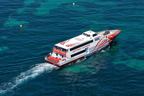 Discover Rottnest With Ferry & Bus Tour From Perth Or Fremantle - Northern Rivers Accommodation 3