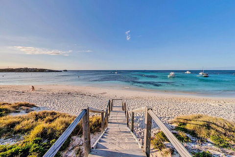 Discover Rottnest With Ferry & Bus Tour From Perth Or Fremantle - Northern Rivers Accommodation 4