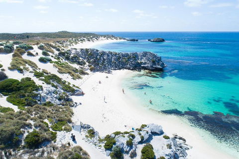 Discover Rottnest With Ferry & Bus Tour From Perth Or Fremantle - Northern Rivers Accommodation 5