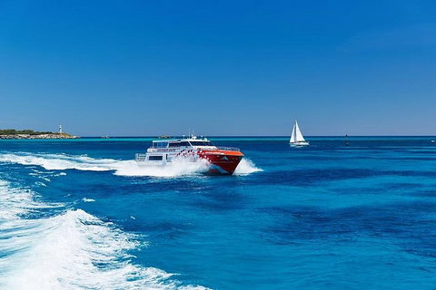 Rottnest Island Round-Trip Ferry From Perth Or Fremantle - Northern Rivers Accommodation 4