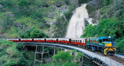 Classic Kuranda By Skyrail And Scenic Railway Including Rainforestation, Koala And Wildlife Park And Pamagirri Aboriginal Experi - Northern Rivers Accommodation 1