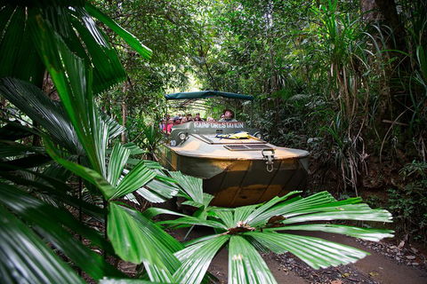 Classic Kuranda By Skyrail And Scenic Railway Including Rainforestation, Koala And Wildlife Park And Pamagirri Aboriginal Experi - Northern Rivers Accommodation 4