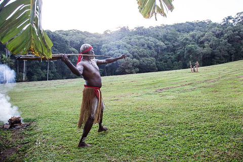 Classic Kuranda By Skyrail And Scenic Railway Including Rainforestation, Koala And Wildlife Park And Pamagirri Aboriginal Experi - Northern Rivers Accommodation 5