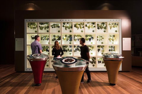 Australian Wine Discovery Tour With Tastings - Northern Rivers Accommodation 4