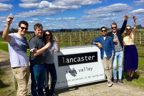 Swan Valley Tour From Perth: Wine, Beer And Chocolate Tastings - Northern Rivers Accommodation 1