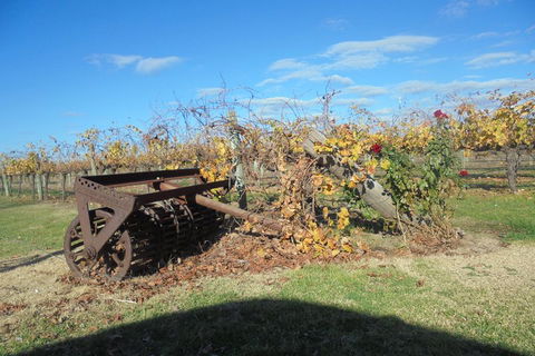 Swan Valley Tour From Perth: Wine, Beer And Chocolate Tastings - Northern Rivers Accommodation 3