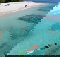 Fitzroy Island Day Trip from Cairns - Northern Rivers Accommodation