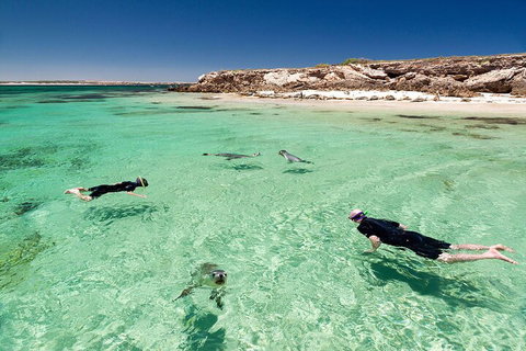 10 Day Adelaide To Perth Private Tour - The Great Australian Wilderness Journey - Northern Rivers Accommodation 1