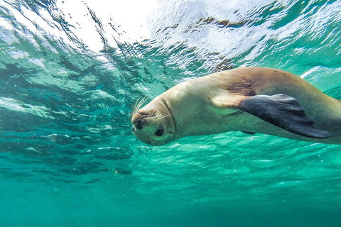 10 Day Adelaide To Perth Private Tour - The Great Australian Wilderness Journey - Northern Rivers Accommodation 2