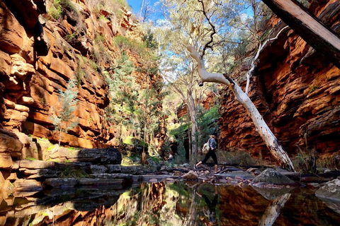 10-Day Adelaide To Perth Adventure Tour - Northern Rivers Accommodation 5