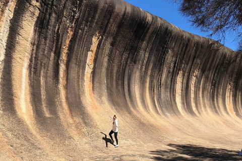6 Day Esperance & Margaret River Adventure Tour - Northern Rivers Accommodation 4