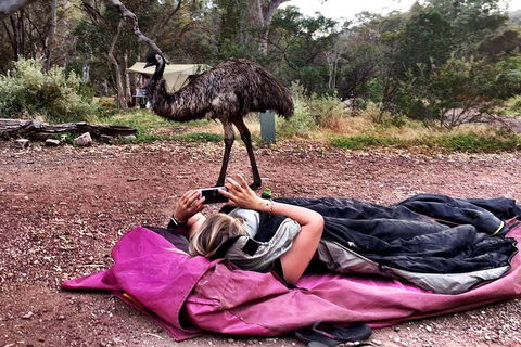 6 Day Esperance & Margaret River Adventure Tour - Northern Rivers Accommodation 5