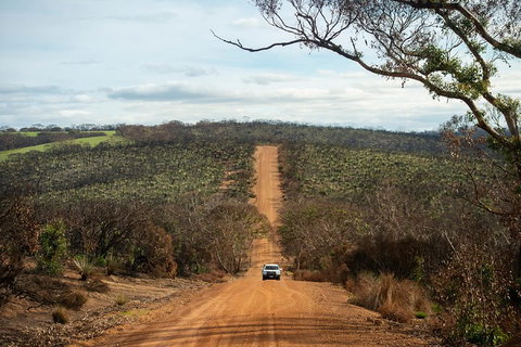 NEW TOUR - Kangaroo Island Road To Recovery Tour (1 Day/1 Night) - Northern Rivers Accommodation 2