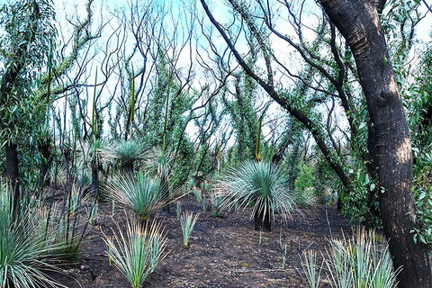 NEW TOUR - Kangaroo Island Road To Recovery Tour (1 Day/1 Night) - Northern Rivers Accommodation 3