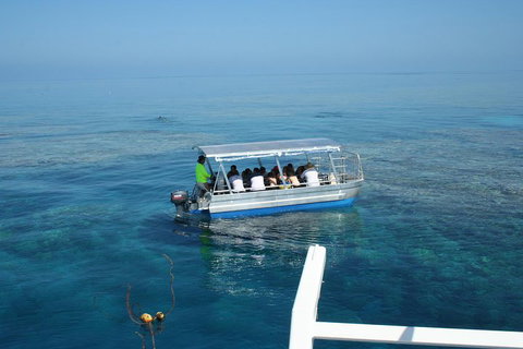 Seastar Luxury Outer Great Barrier Reef Island And Reef Tour From Cairns - Northern Rivers Accommodation 5