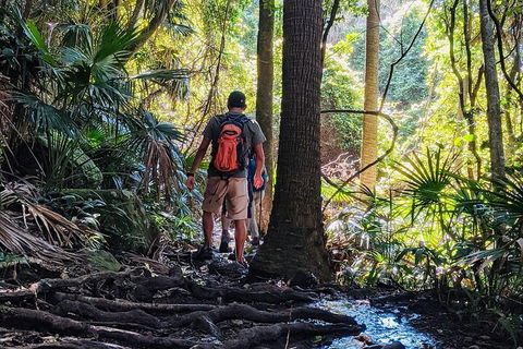 Hike To The Figure Eight Pools - Northern Rivers Accommodation 0