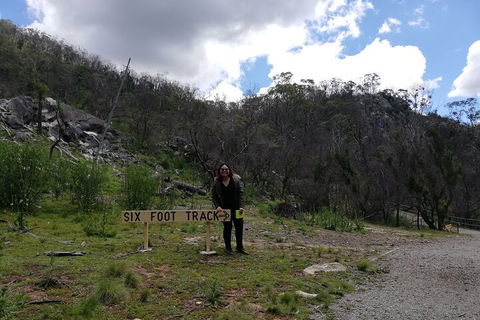 Blue Mountains Private Tour From Sydney With Jenolan Caves - Northern Rivers Accommodation 3