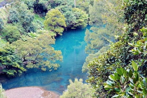 Blue Mountains Private Tour From Sydney With Jenolan Caves - Northern Rivers Accommodation 4