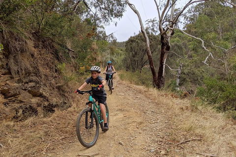 Mount Lofty Descent Bike Tour From Adelaide - Northern Rivers Accommodation 0