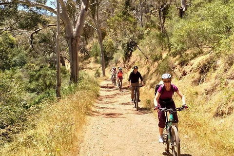Mount Lofty Descent Bike Tour From Adelaide - Northern Rivers Accommodation 3