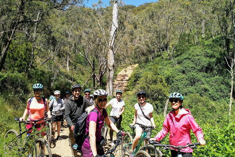Mount Lofty Descent Bike Tour From Adelaide - Northern Rivers Accommodation 5