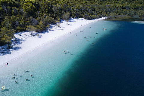 All-Inclusive Fraser Island Day Tour - Northern Rivers Accommodation 0