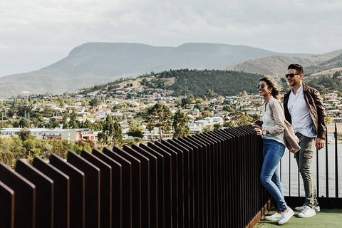 Moorilla Wine Meets Mona Art Day Trip - Northern Rivers Accommodation 4