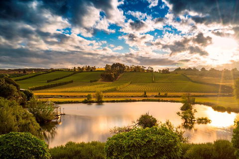Josef Chromy Wines Winery Tour Including Tasting And Lunch - Northern Rivers Accommodation 3