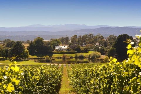 Josef Chromy Wines Winery Tour Including Tasting And Lunch - Northern Rivers Accommodation 4