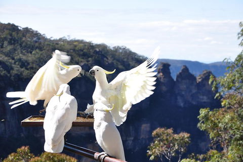 Private Blue Mountains Tour - Northern Rivers Accommodation 1