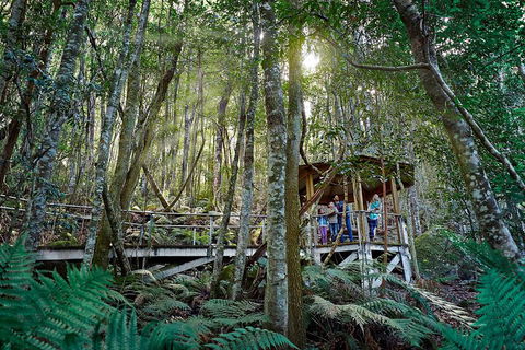 Private Blue Mountains Tour - Northern Rivers Accommodation 4