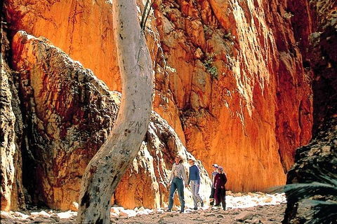 West MacDonnell Ranges Day Trip From Alice Springs - Northern Rivers Accommodation 3