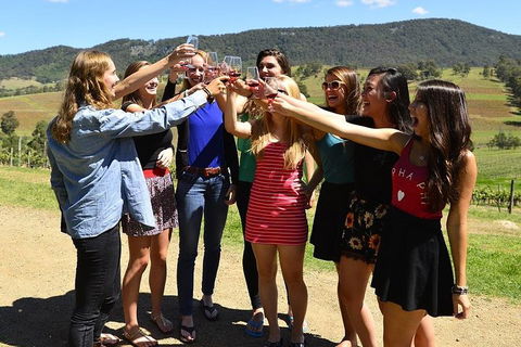 Hunter Valley Wine Tour From Sydney Incl Lunch, Cheese, Chocolate And Distillery - Northern Rivers Accommodation 3