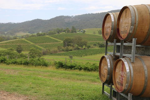 Hunter Valley Wine Tour From Sydney Incl Lunch, Cheese, Chocolate And Distillery - Northern Rivers Accommodation 5