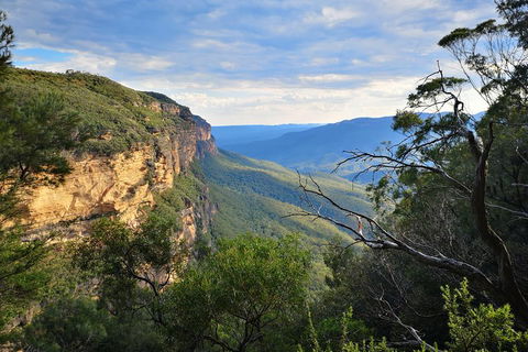 Sunset Blue Mountains Wilderness & Wildlife Tour Without The Crowds - Northern Rivers Accommodation 2