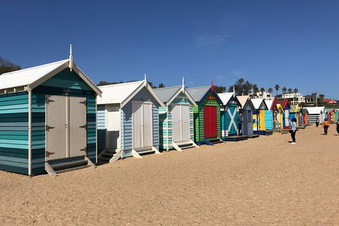 Phillip Island Penguin Parade, Brighton Bathing Boxes And Wildlife Park Tour - Northern Rivers Accommodation 3